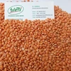 Masoor Dal
