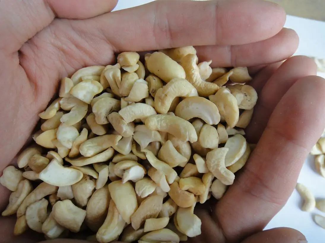 
sell vietnam processed cashew nut 