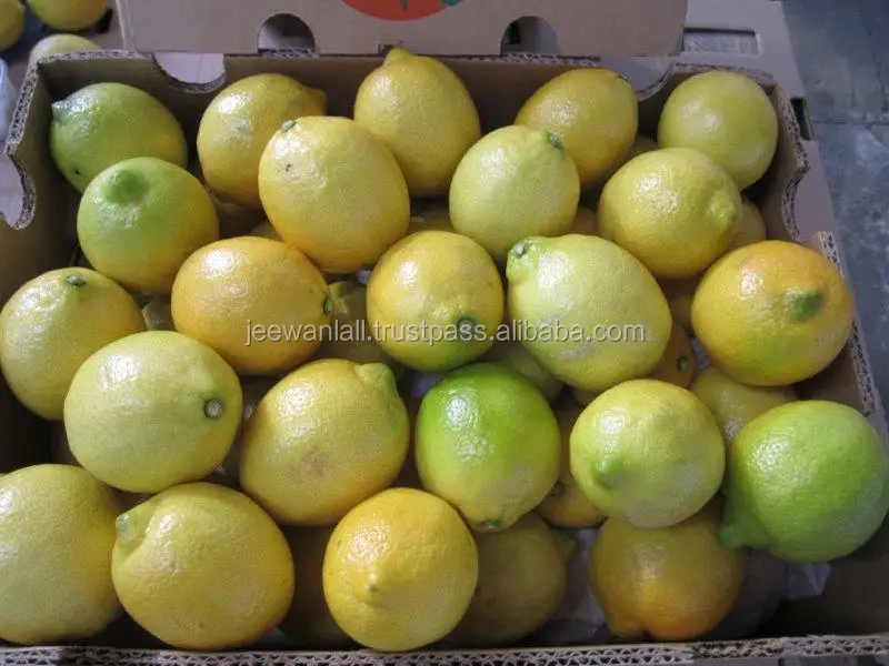 
hot selling high quality fresh yellow lemon for sale from South Africa 