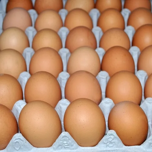 
Fresh White and brown table eggs 
