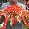 Frozen King Crab,Live King Crabs,King Crab Legs at factory price