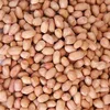 roasted peanut groundnut kernels organic