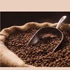 /product-detail/high-quality-grade-a-2019-roasted-robusta-coffee-beans-from-india-62000672605.html