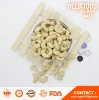 CASHEW NUT SALTED Vietnam Special Product