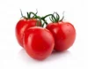 /product-detail/hybrid-india-tomato-seeds-50039312941.html