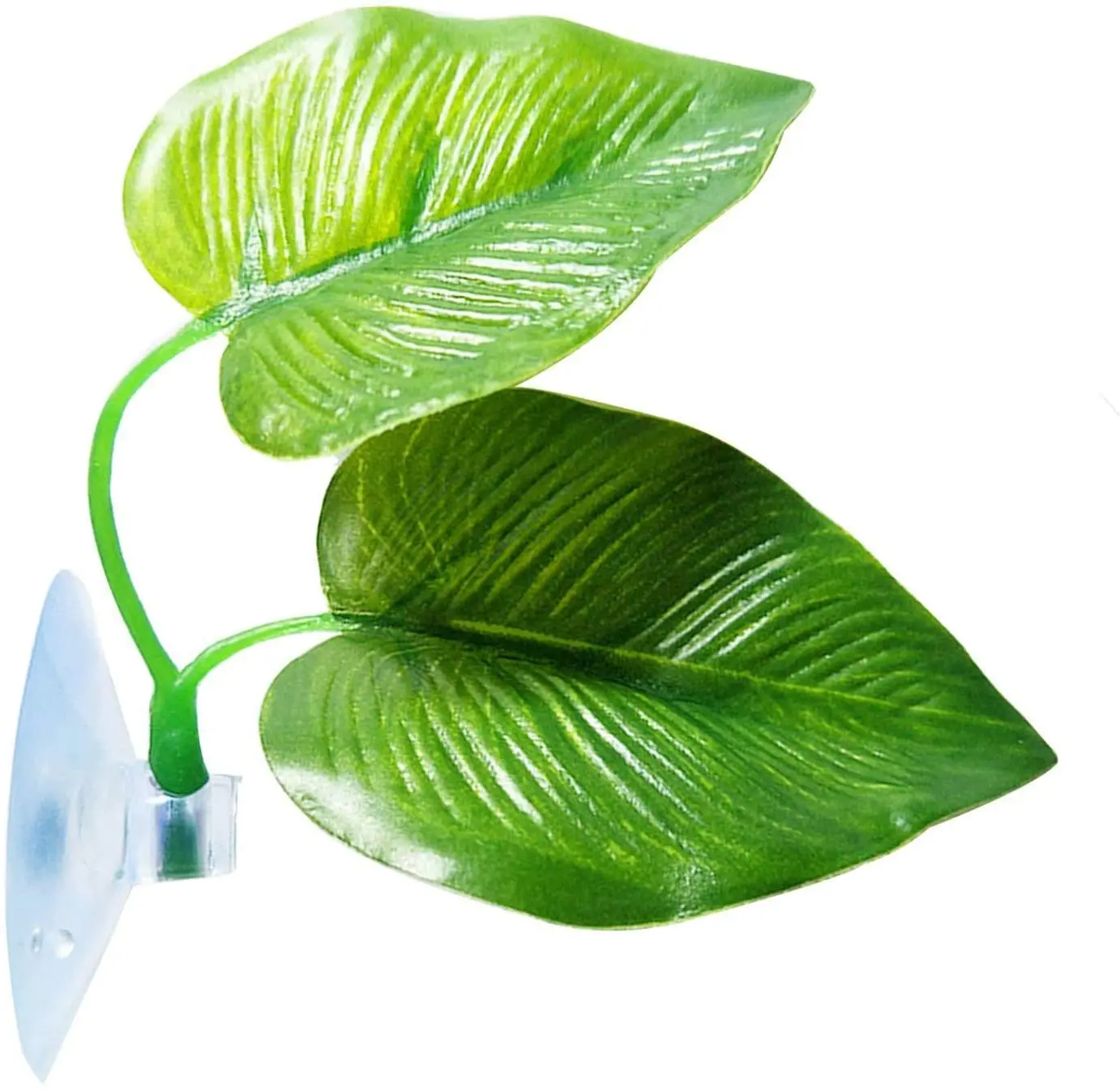 

Betta Fish Leaf Pad - Improves Betta's Health by Simulating The Natural Habitat Double Leaf Design, one Big and one Small B, Green