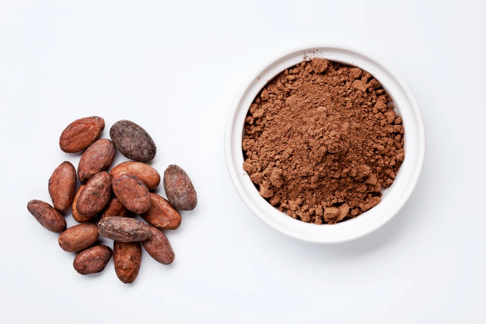 100% pure natural theobromine powder 10 % cocoa bean extract