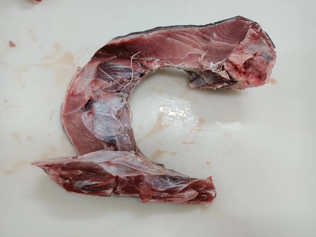 
Wholesale IQF yellowfin frozen Tuna Jaw for BBQ 