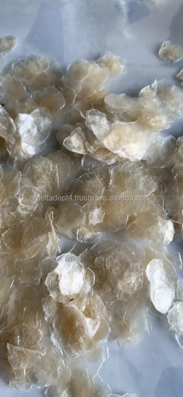 Export Fish Scale From Vietnam/ossein To Extract Gelatin & Collagen/ Ms