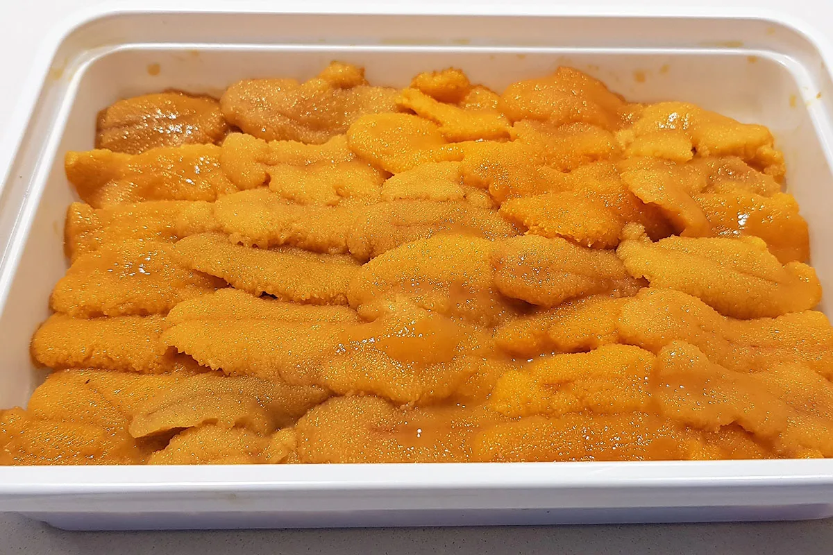 
Premium Quality Frozen Sea Urchin for Sale 