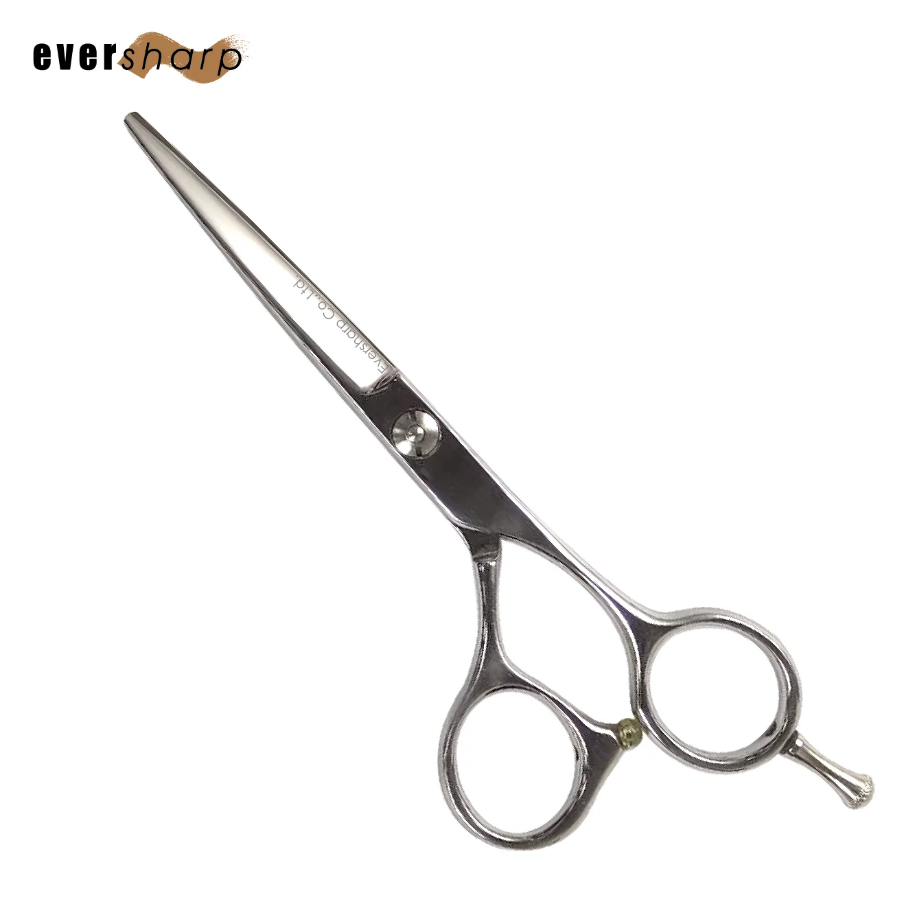 

5.5 inch Professional Hair Cutting Shears For Salon Hairdresser