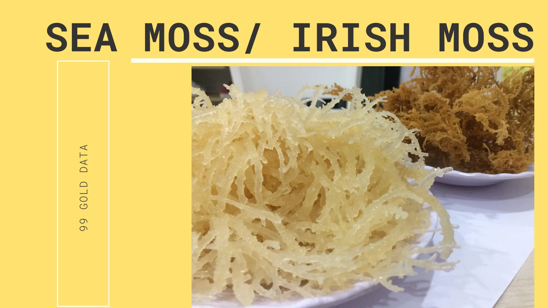 Purple Irish Moss In Vietnam - Buy Seamoss Irish Moss Sea Moss Gummies ...