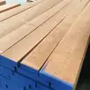steamed/unsteamed Edged beech Kiln dry European timber both logs and lumber