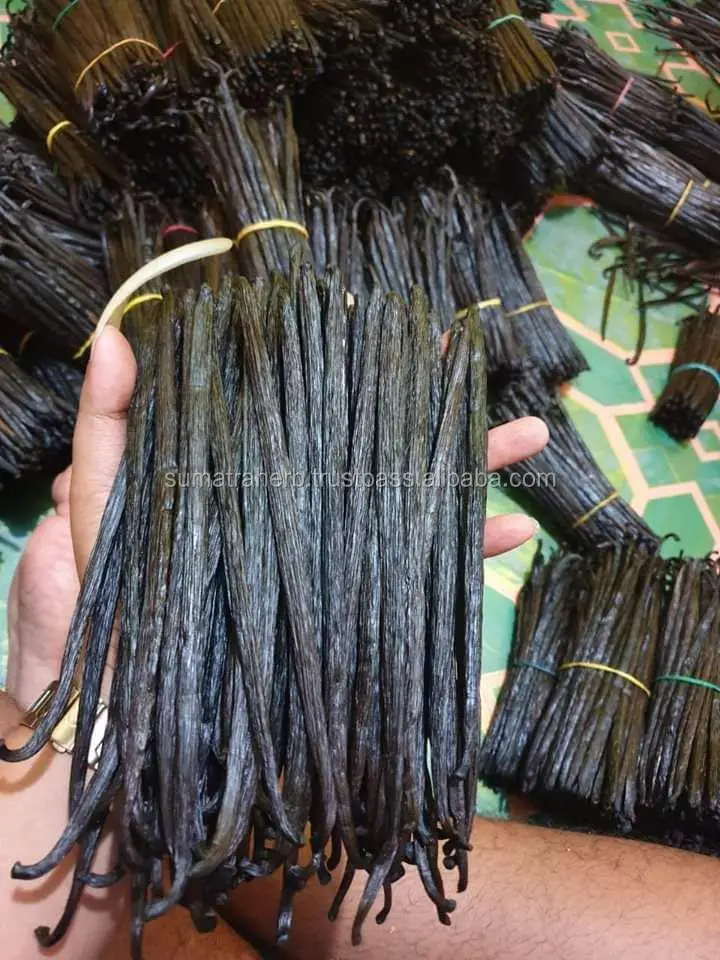 
Sumatra Supply Organic Cultivated Gourmet vanilla beans Black Vanilla Beans Farm Price 