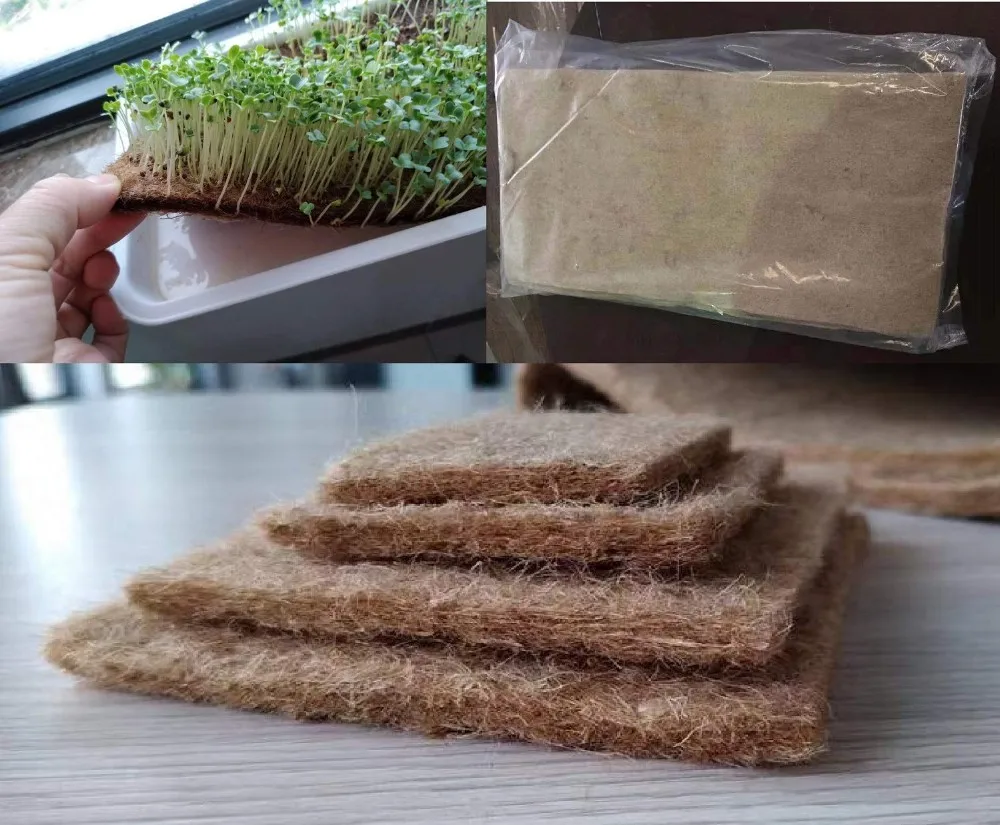 Coconut Coir Mats/ Coco Fiber Sheets For Microgreen (ms Jenny) Buy