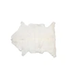 /product-detail/dry-salted-raw-goat-skins-62010713723.html