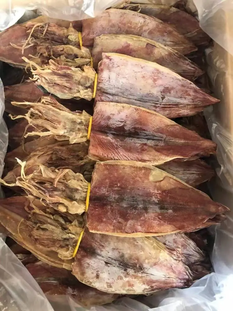 dried squid / cuttlefish