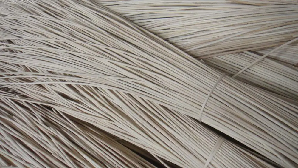 
different between kinds of rattan raw material natural and plastic for making furniture 