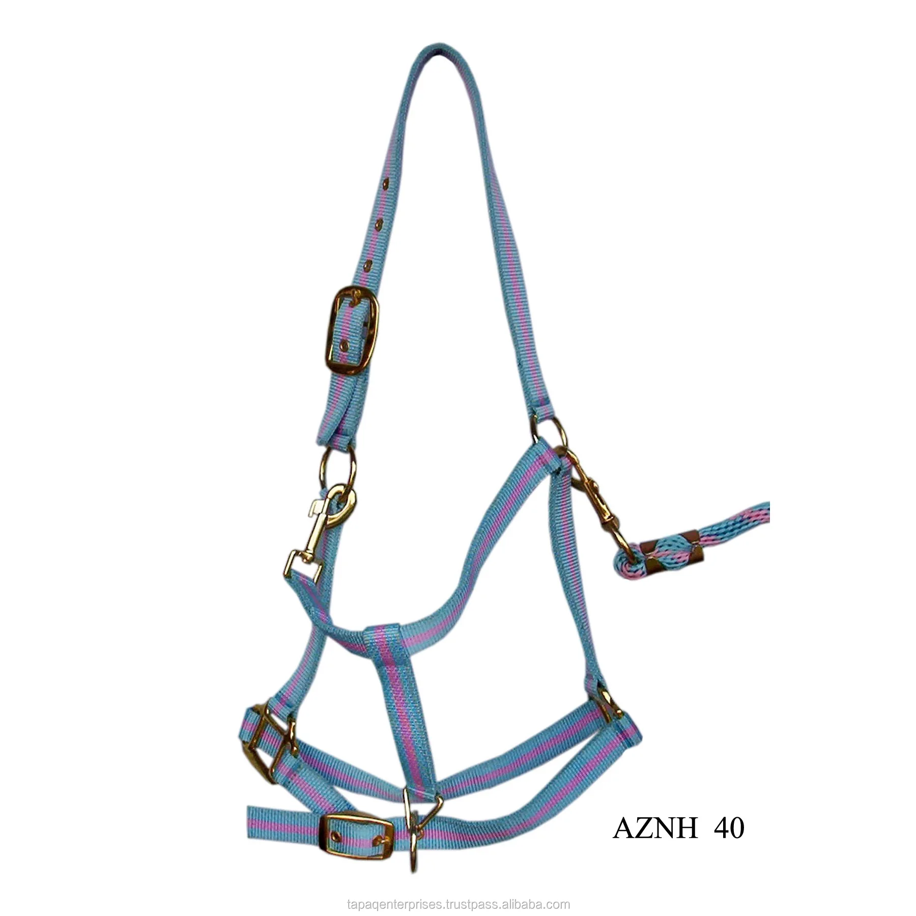 AZNH 40.jpg