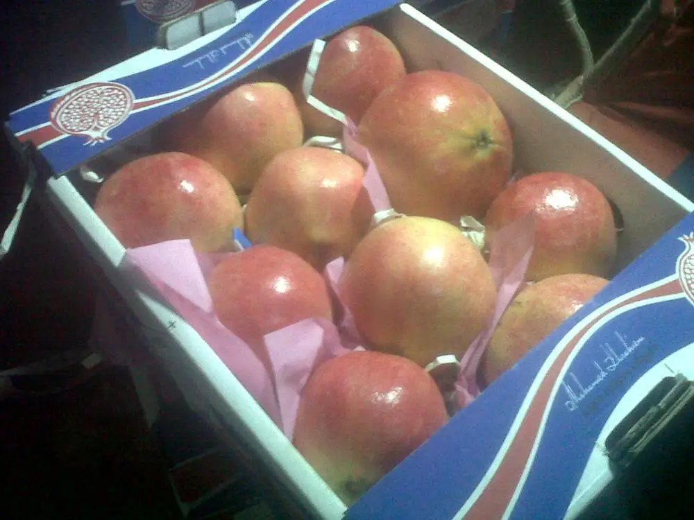 
Fresh Pomegranate ready to export to Algeria 