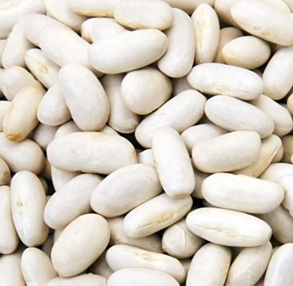 
White Beans -BEST QUALITY, BEST PRICES (SPICES LAND FOR EXPORT) 