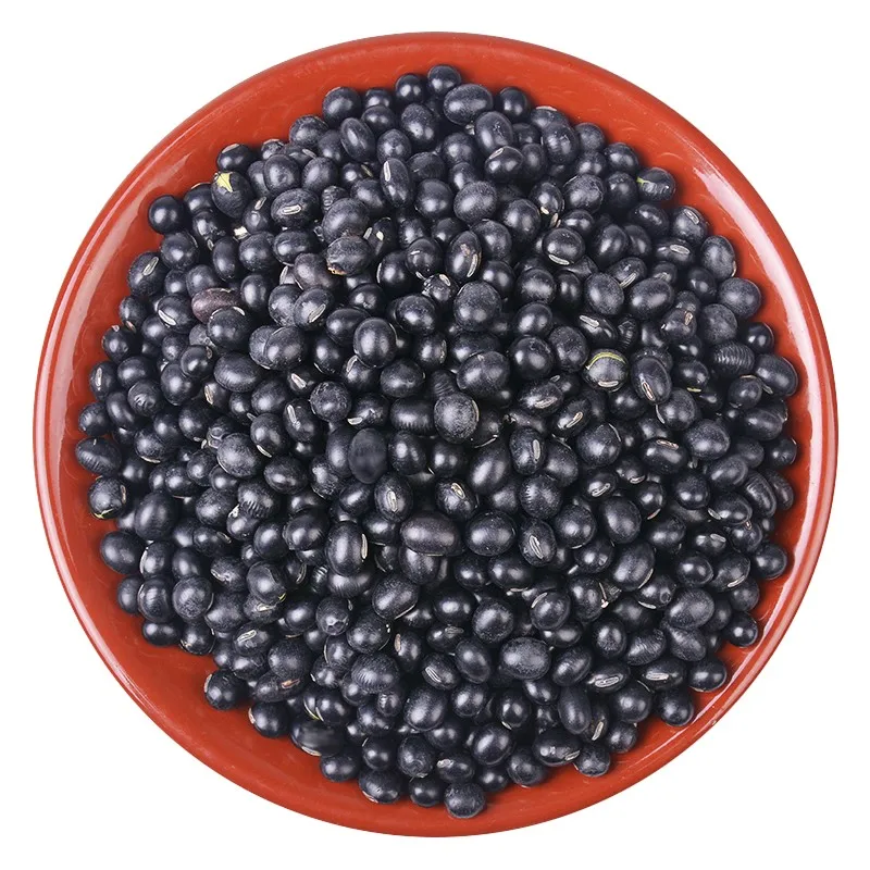 
High Quality Organic Black Kidney Beans 