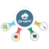 Drupal Theme Development Service In Australia