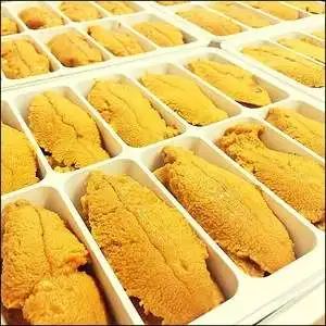 
Premium Quality Frozen Sea Urchin for Sale 