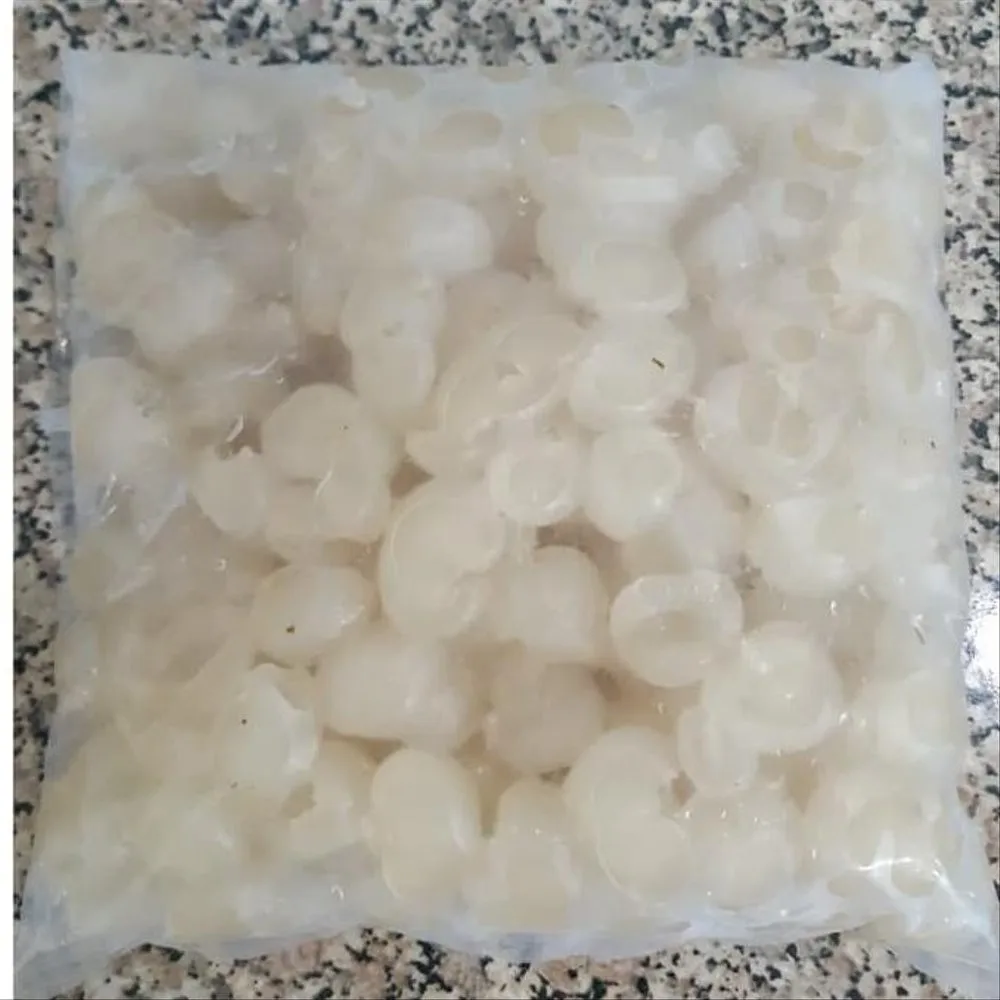 Frozen_Longan_Buah_Beku_Lengkeng_GAPAKE_BIJI_1kg_Kelengkeng_