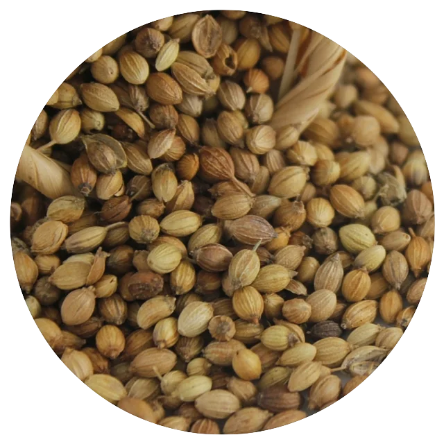 Coriander+Seeds.png