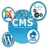 wordpress cms development services