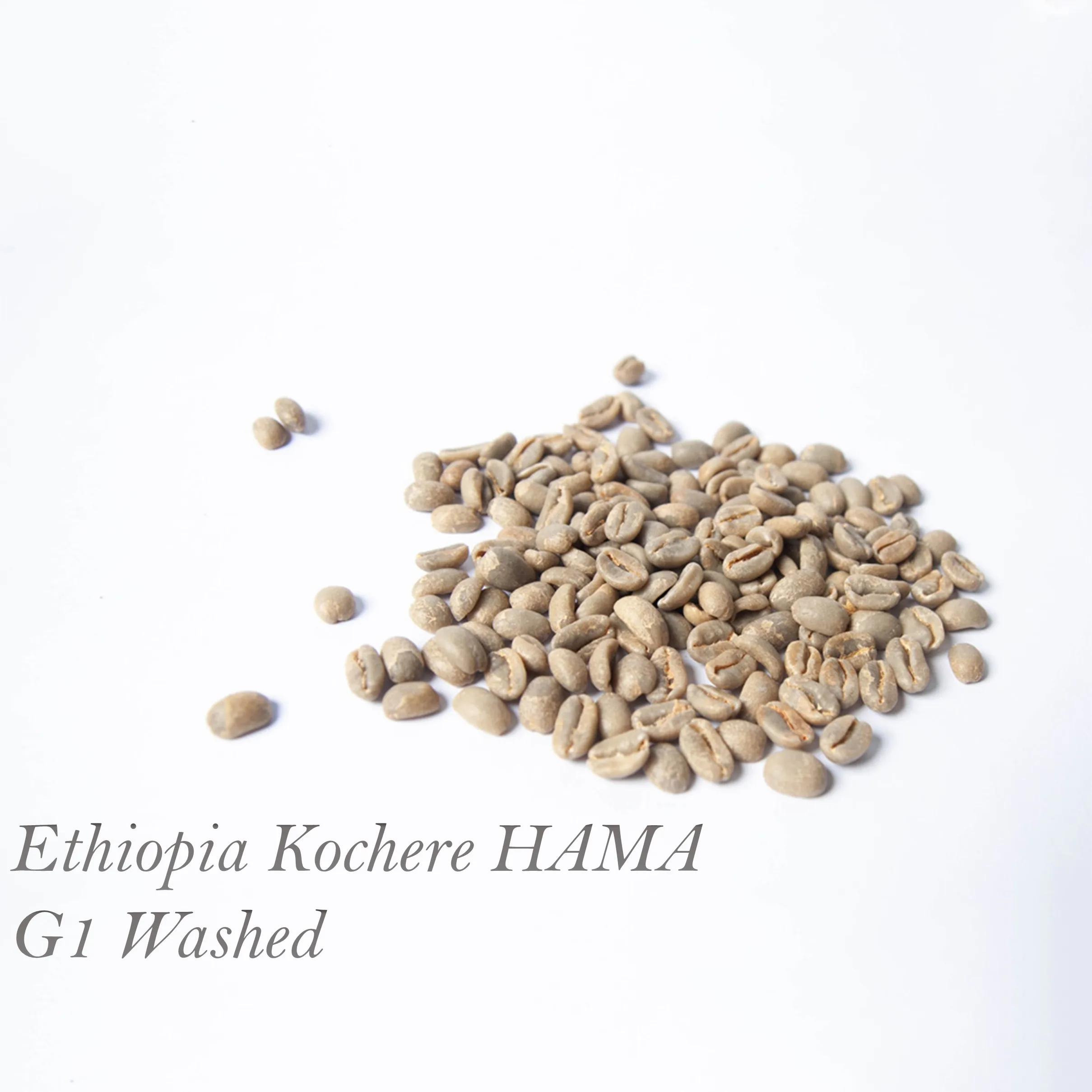 
Ethiopia Kochere HAMA G1 Washed Premium High Quality Green Coffee Bean Wholesale 