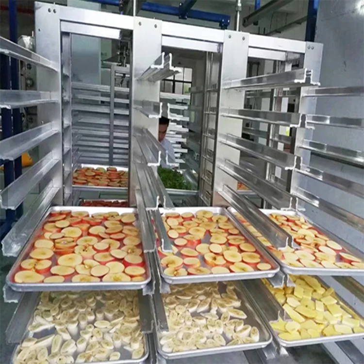 
fruit vegetable 1000kg vacuum freeze drying machine price 