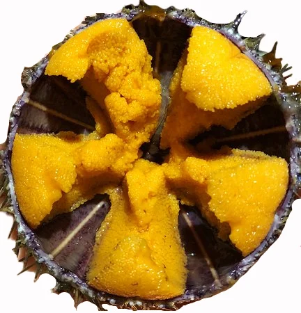 
VIETNAMESE SEA URCHIN ROE COMPETITIVE PRICE FOR WHOLESALES 