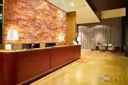 
Himalayan Salt Wall Panel 