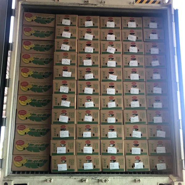 
NEW 2020 Vietnam export fresh cavendish banana price per carton box 