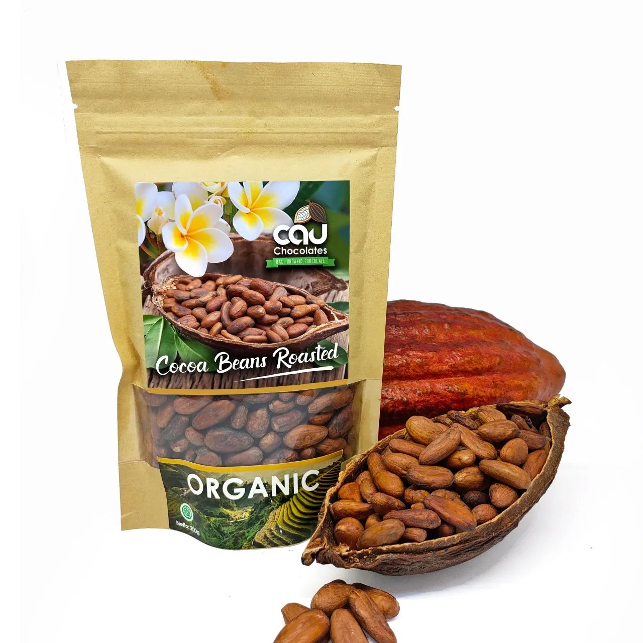 
ORGANIC COCOA BEAN ROASTED 