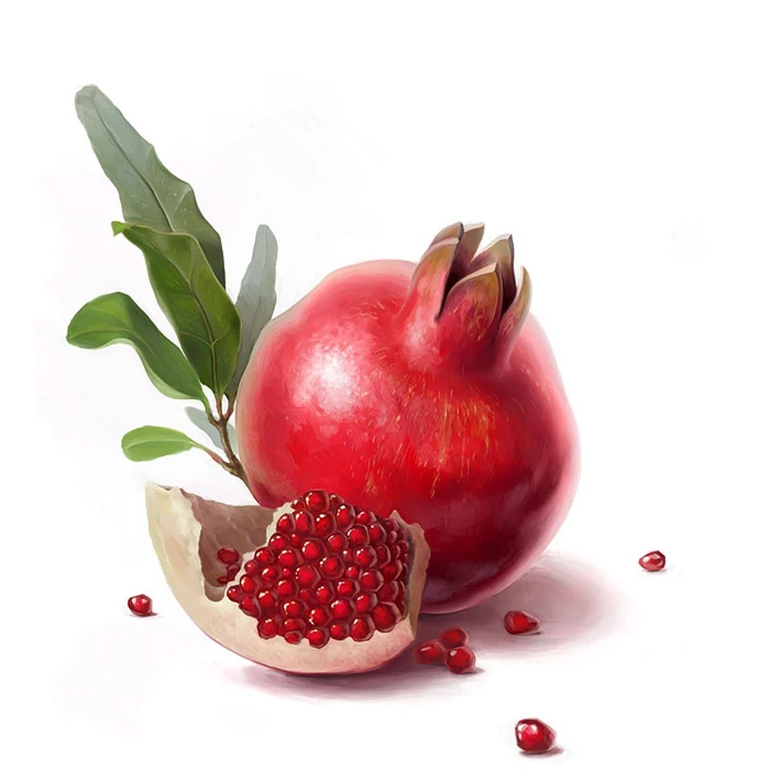 
Jumbo Bold Pomegranate 