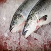 Add to CompareShare Good quality sockeye fish frozen russian red salmon