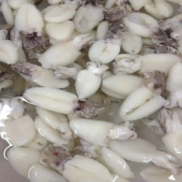 
FROZEN WHOLE CLEANED CUTTLEFISH IQF IN VIET NAM 