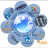 Professional Quality WordPress Theme Design, WordPress Website Development