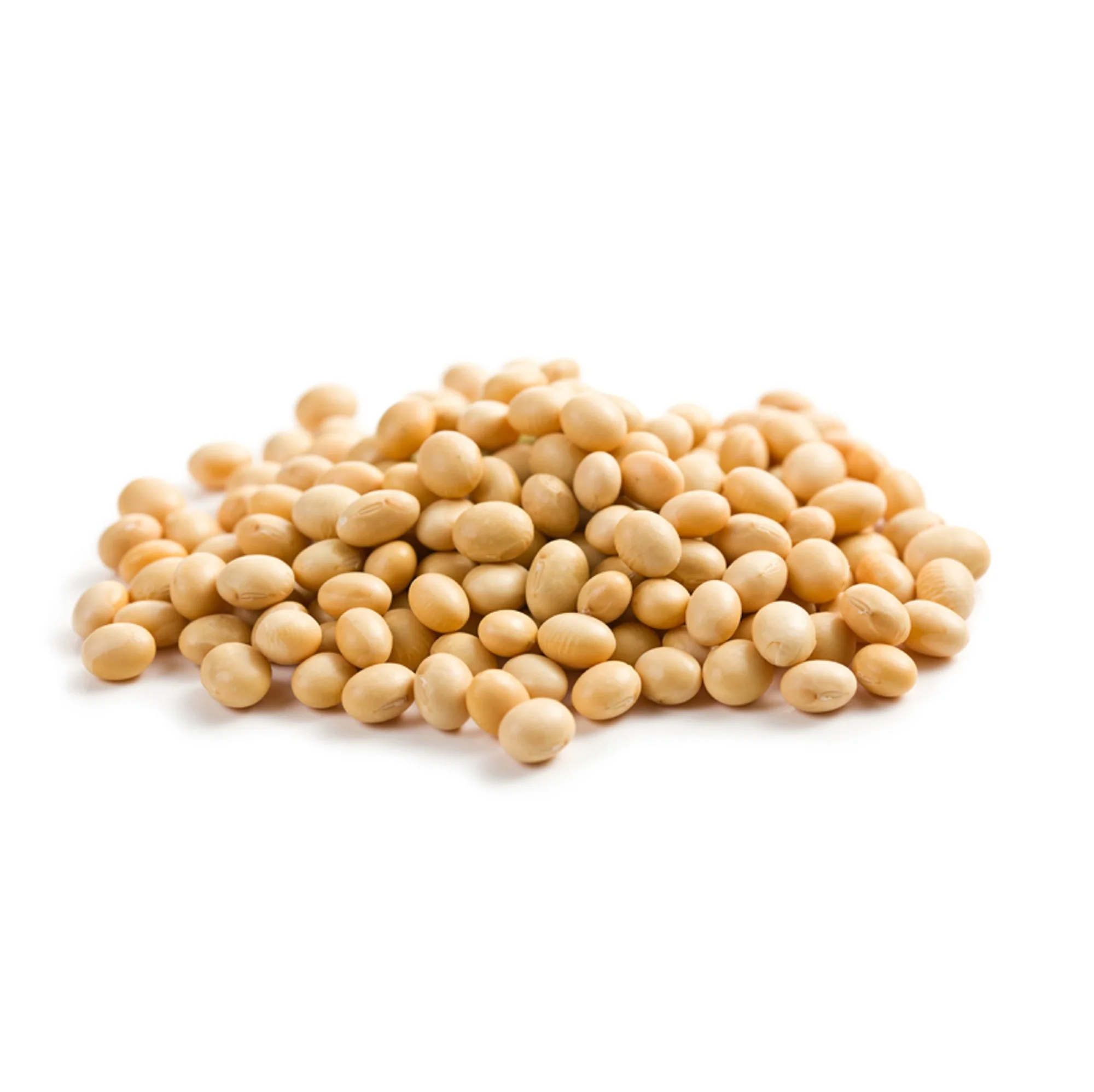 new crop soya bean/ human consumption iqf edamame soya bean