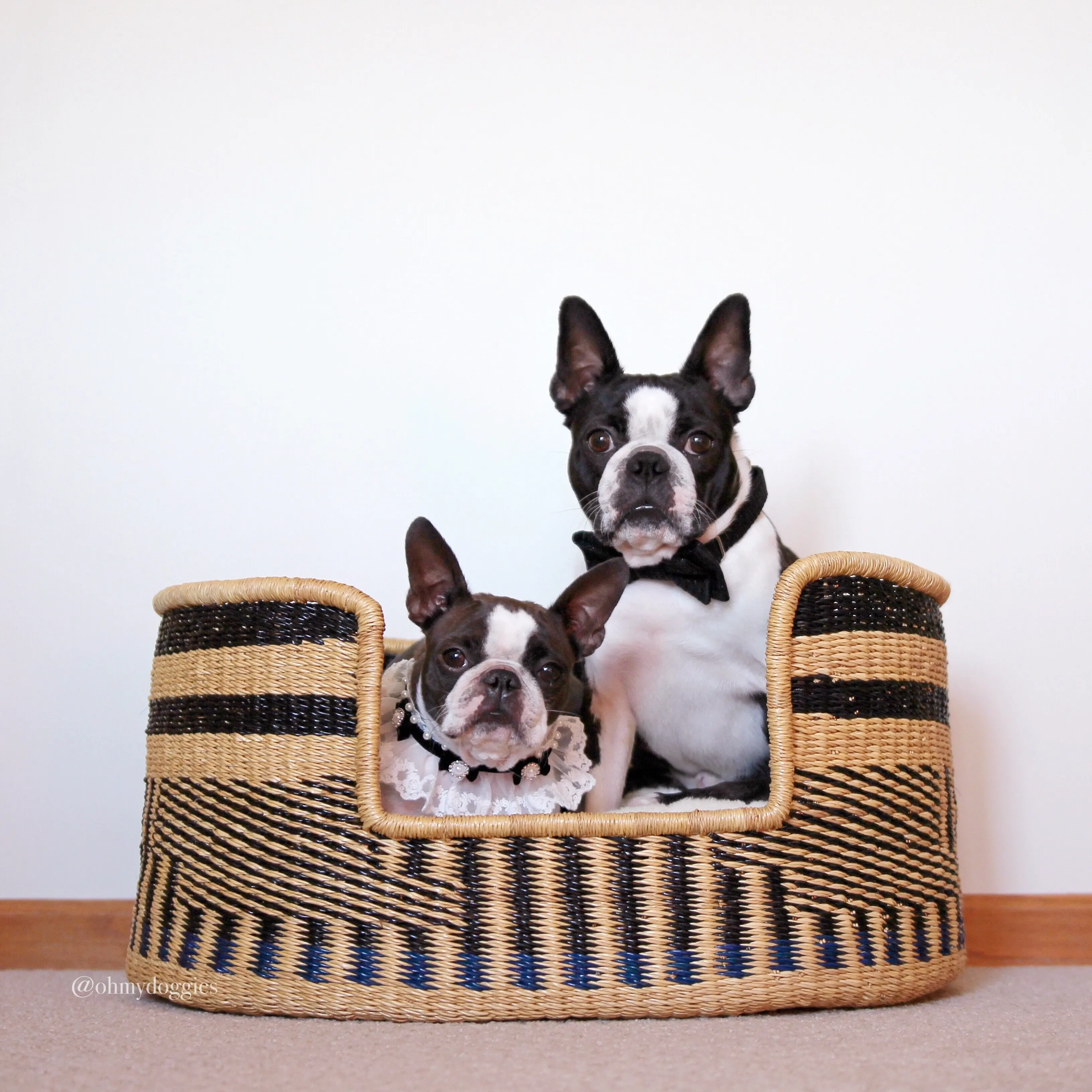 bolga dog bed