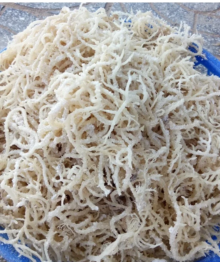 High Nutrition Dried Cottonii Seaweed Origin Vietnam Whatsapp +84