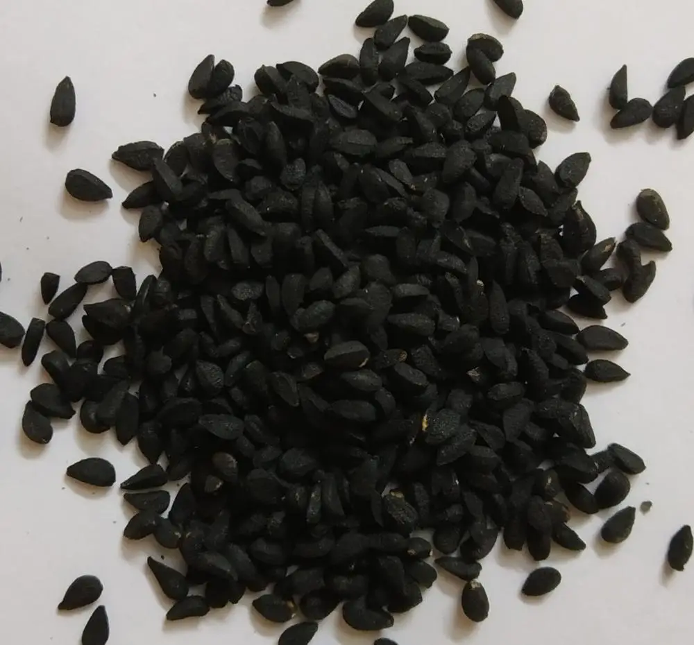 
Nigella Sativa - BEST QUALITY, BEST PRICES (SPICES LAND FOR EXPORT) 