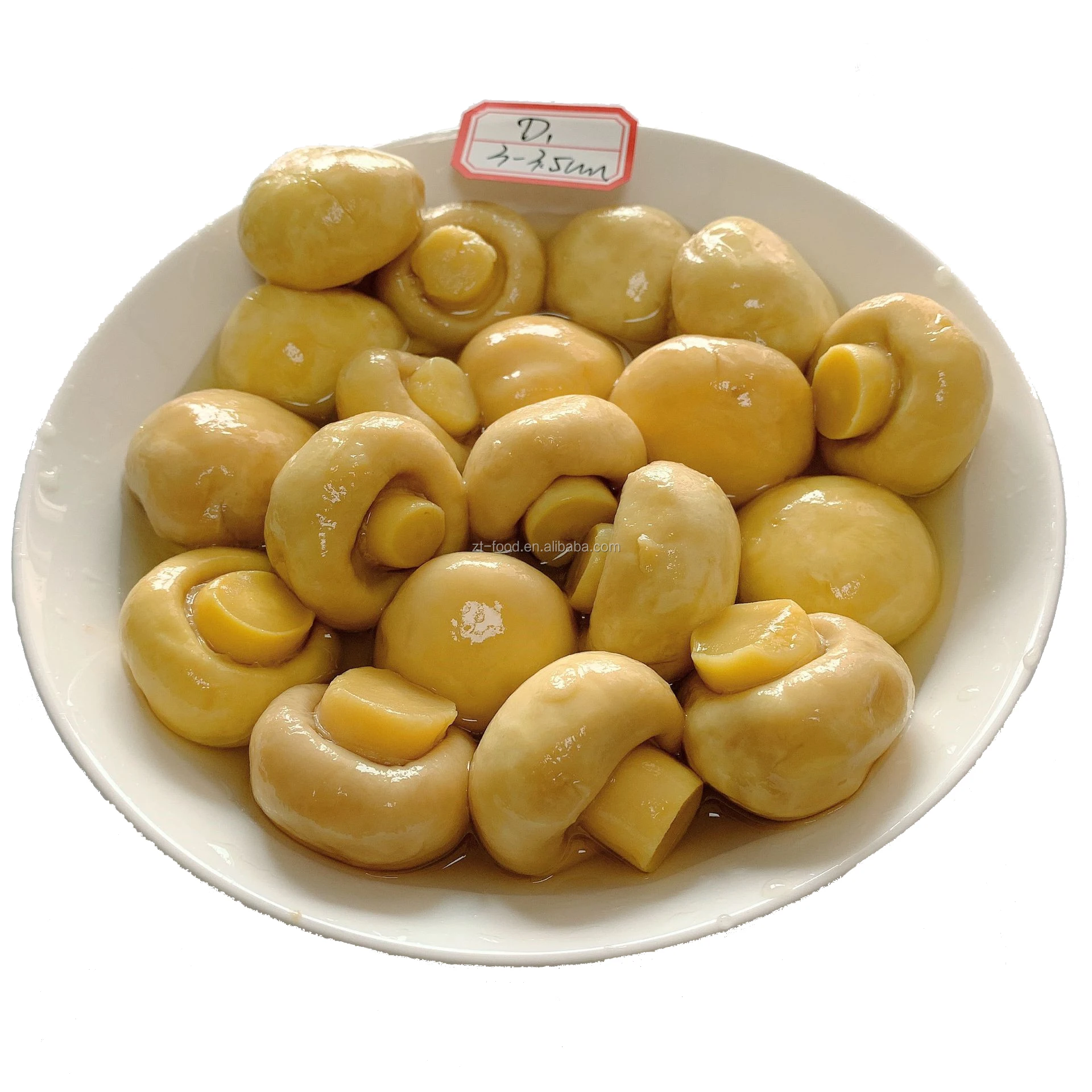 PNS King oyster mushroom in drums