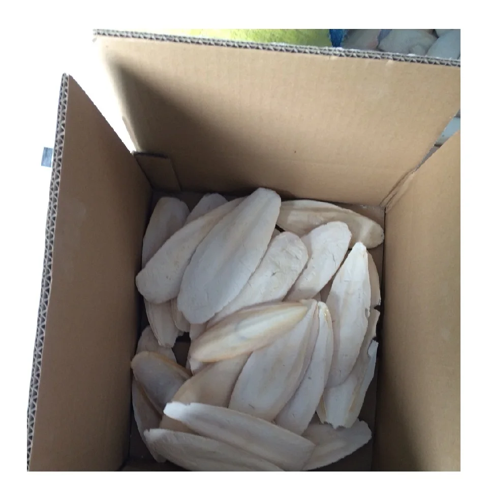 
CUTTLE FISH BONE/ CUTTLEFISH BONE/ CUTTLEBONE FOR BIRD/  84 396986490 