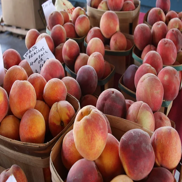 
quality Fresh Sweet Peaches Ready For Export 