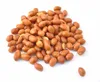 New Crop Excellent Quality Bold/Java Peanut at Export Friendly Price