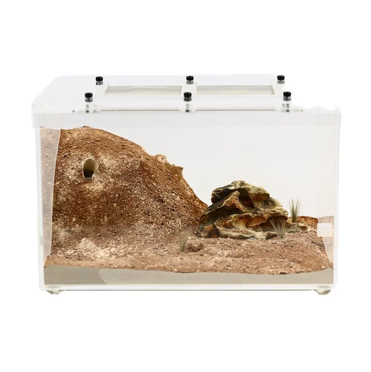 

Medium Anthill Lightweight Brick Plaster Ant Nest